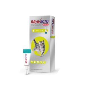 Bravecto plus cat 112.5mg (1.2 a 2.8kg)
