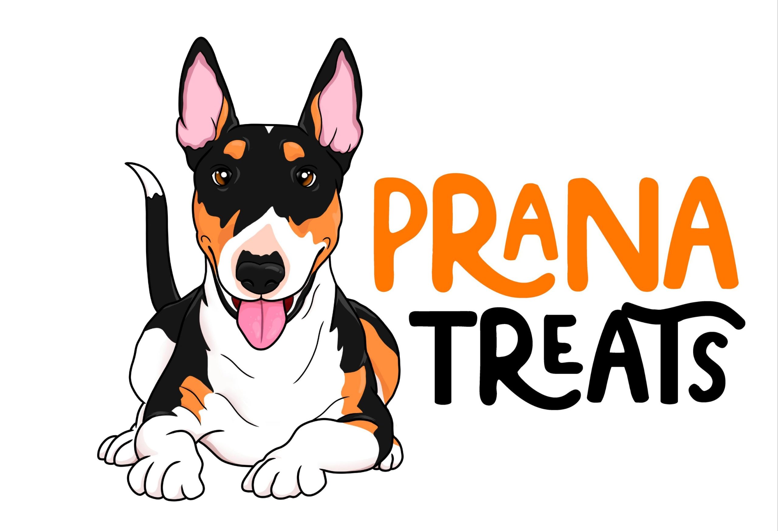 Prana 360° treats Liofilizados 85g - Imagen 10