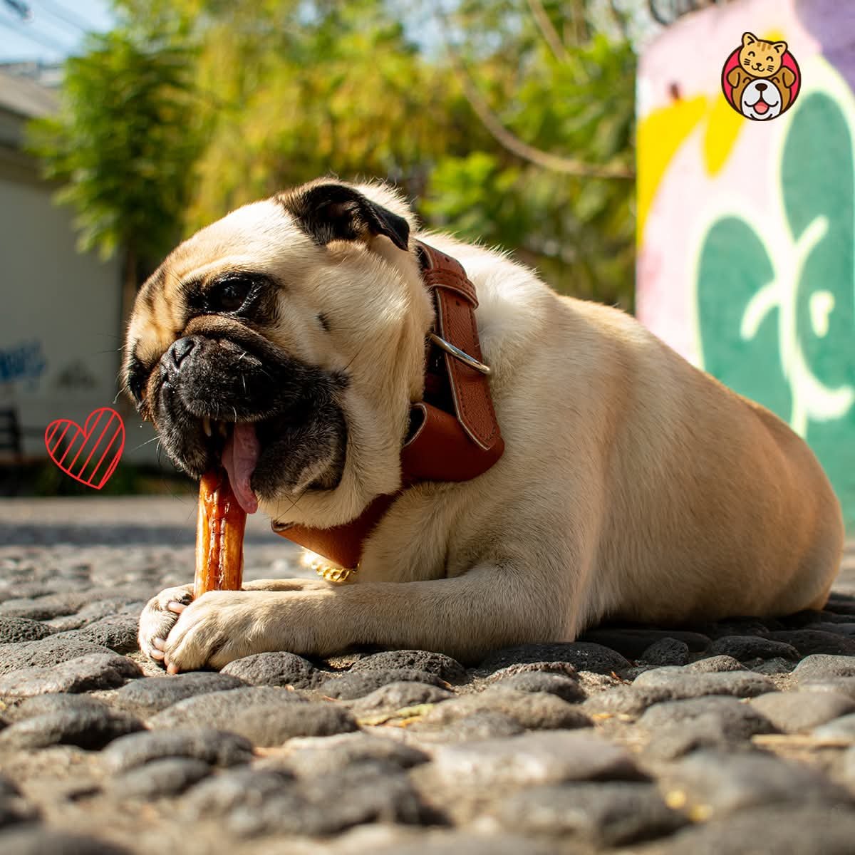Bullstick Yummie Pets. - Imagen 3