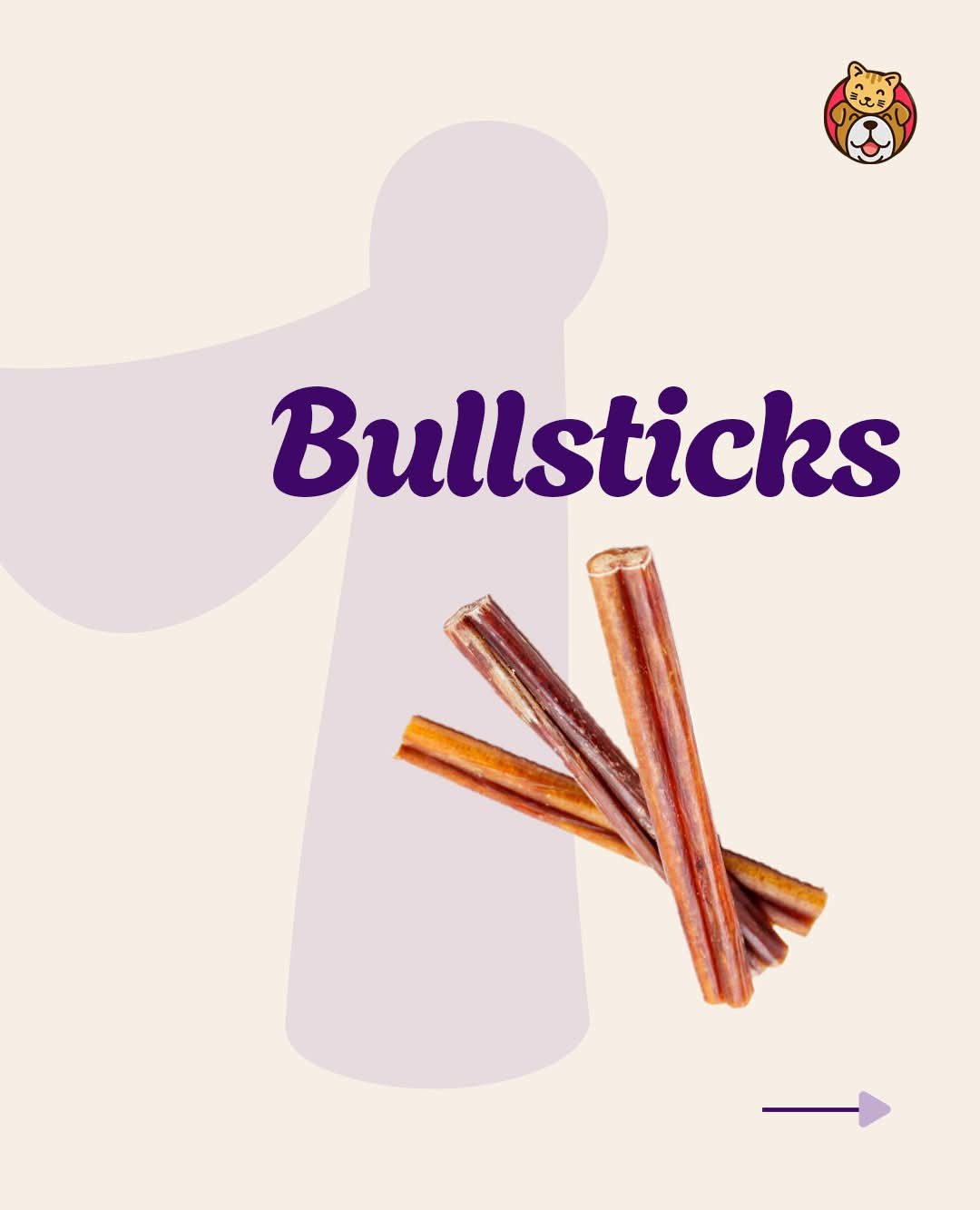 Bullstick Yummie Pets.